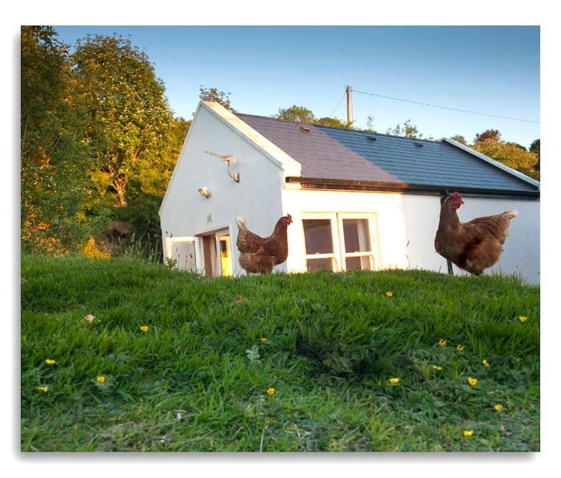 Cosy Self Contained Cottage With Stunning Views Killaloe Exterior foto